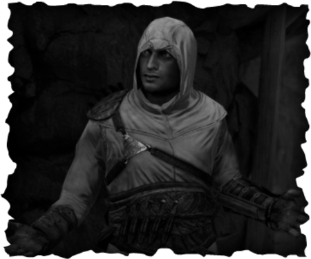 Haaz Sleiman voice acted a character Malik al-Sayf in a popular video game Assassin's Creed.