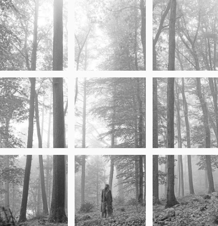 taylor swift new album, folklore.