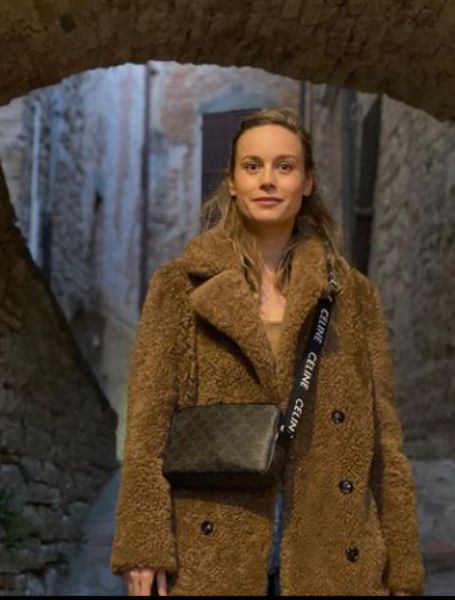 As per Net Worth Post, the estimated net worth of Brie Larson is around $10 million.