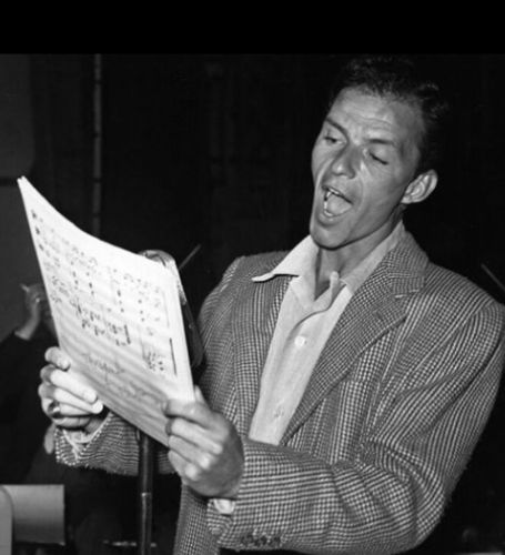 Netflix is working on a series based on Frank Sinatra's life.