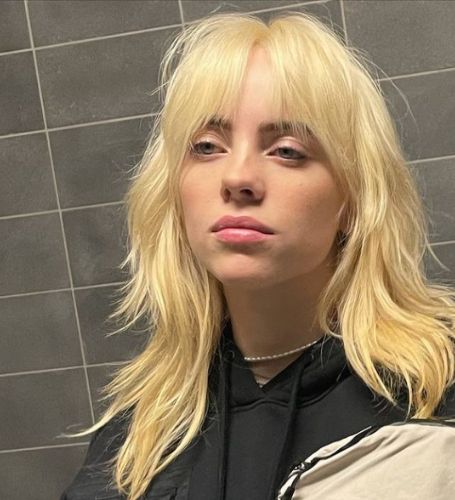 Billie Eilish sparked a frenzy among fans when she debuted a platinum blonde look in March, topped off with the increasingly popular 'wolf cut.'