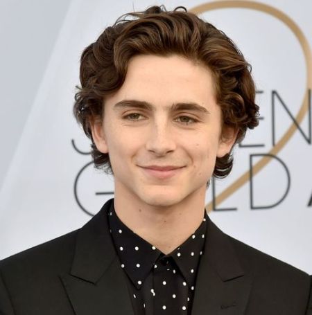 Timothée Chalamet's was born on December 27, 1995, in New York City.