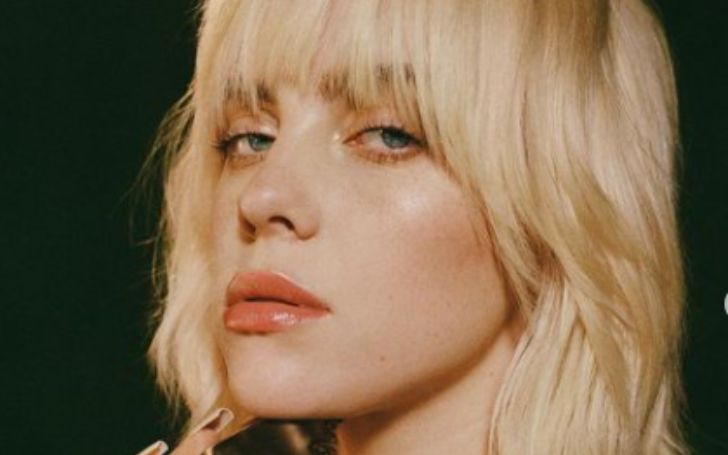 Billie Eilish Stops her Concert Because of her Fan's Medical Emergency