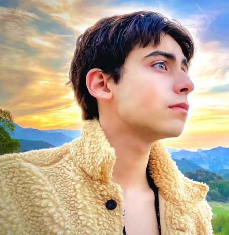   After eight months of a relationship, Aidan Gallagher and Hannah McCloud decided to walk separate paths.