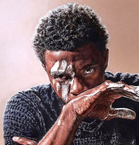 .     Chadwick Boseman possesses an estimated net worth of $8 million.