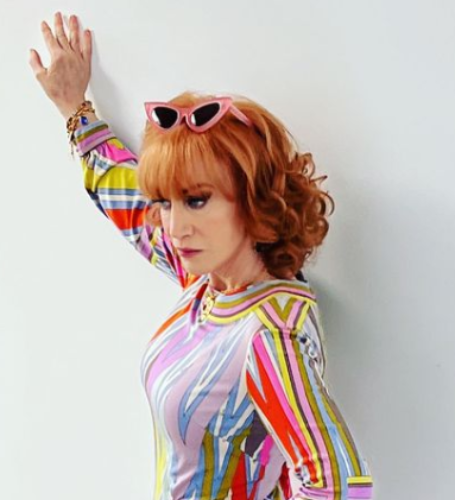 Kathy Griffin decided to sell one of her homes in the Hollywood Hills for $4.49 million in November 2018.